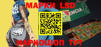 mdma Гатчина