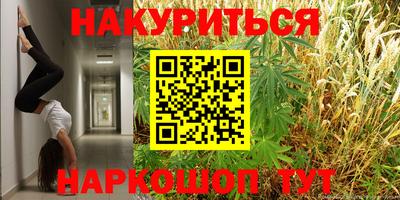 mdma Гатчина