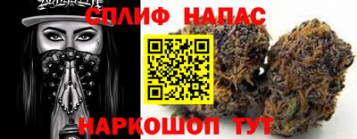 mdma Гатчина