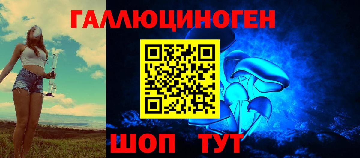 Нижний Новгород  Псилоцибиновые грибы Psilocybe  Вход с VPN 